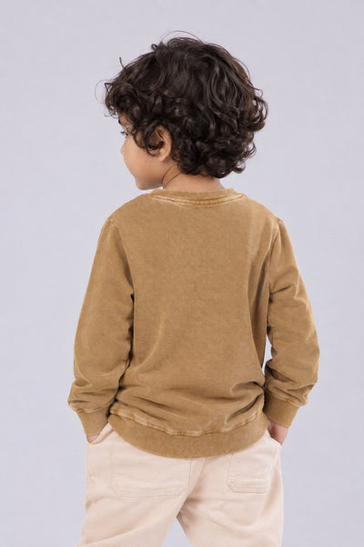 Boys Regular Fit Tan Solid Sweatshirt