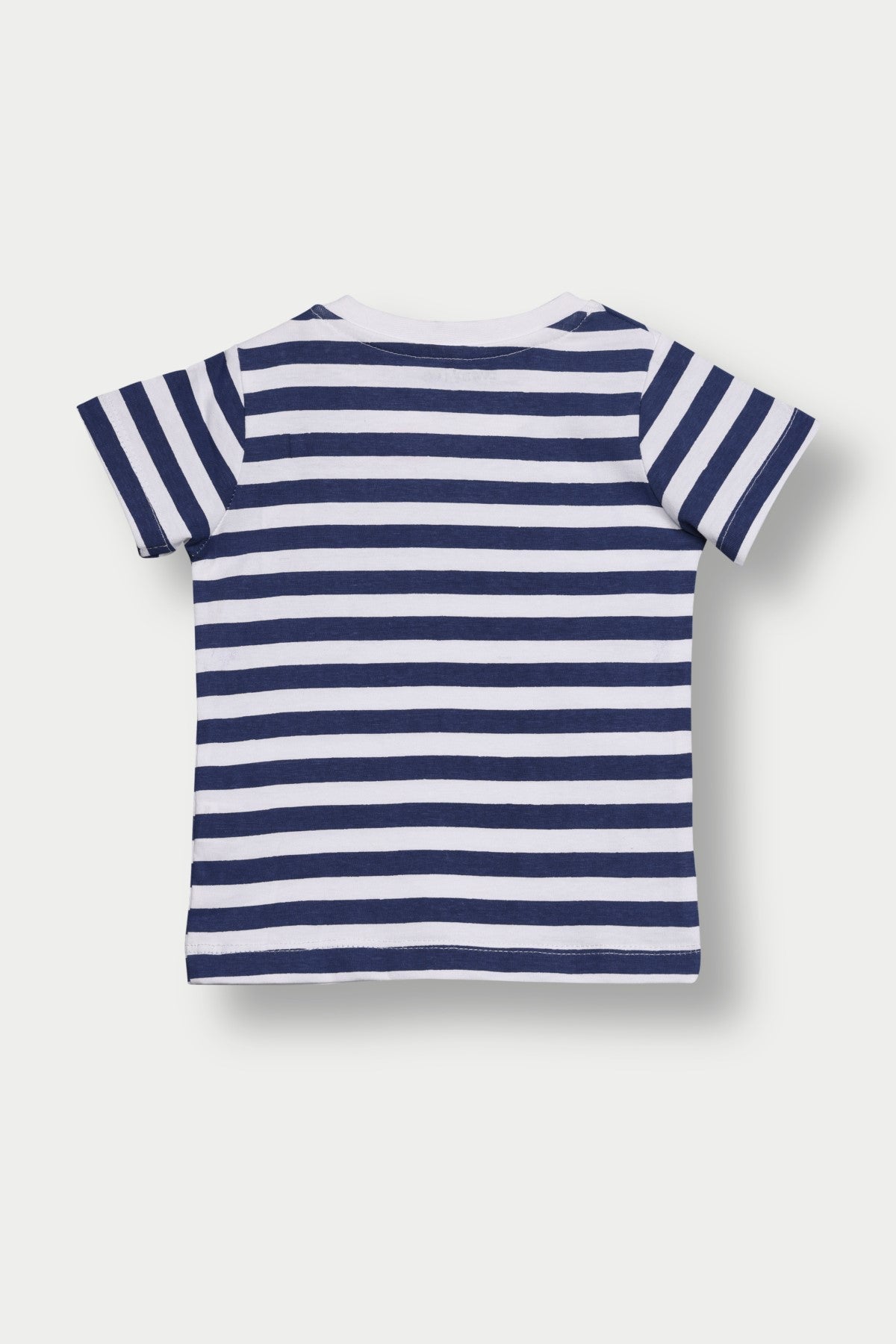 Navy Striped Regular Fit T-Shirt