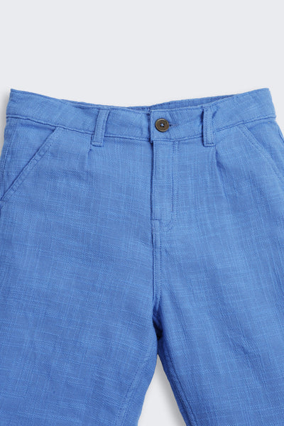 Blue Solid Regular Fit Shorts