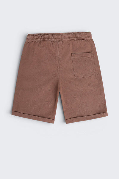 Brown Solid Regular Fit Shorts