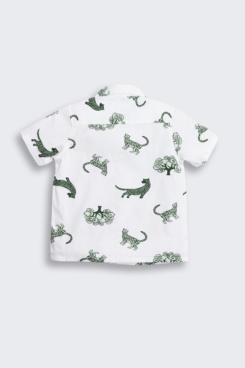 White Graphic Regular Fit Shirt