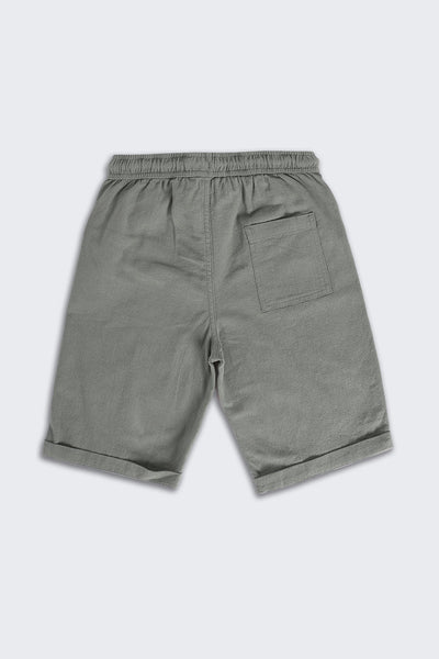 Teal Solid Regular Fit Shorts