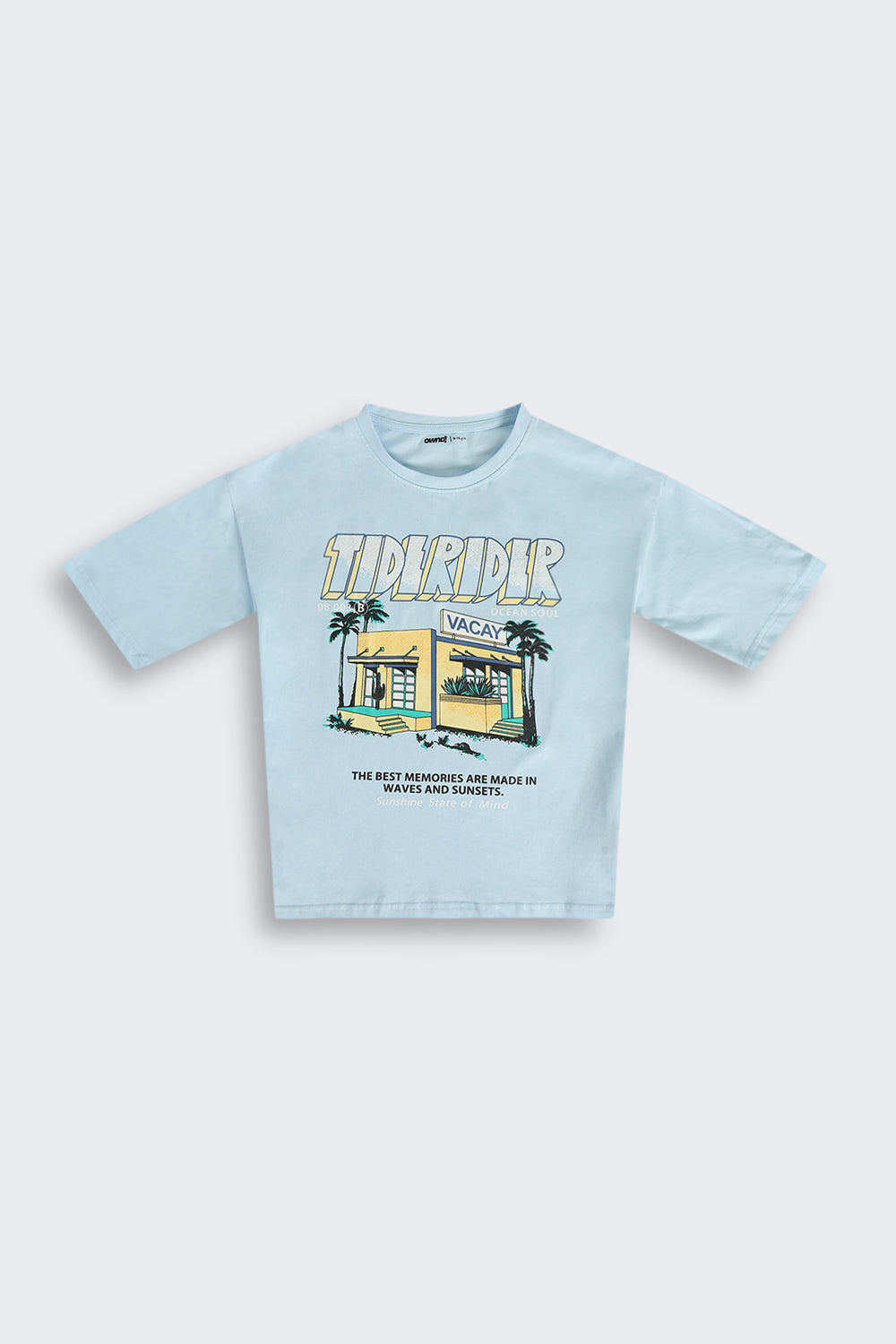Blue Cotton Regular Fit T-Shirt
