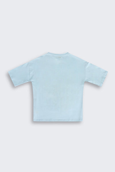 Blue Cotton Regular Fit T-Shirt