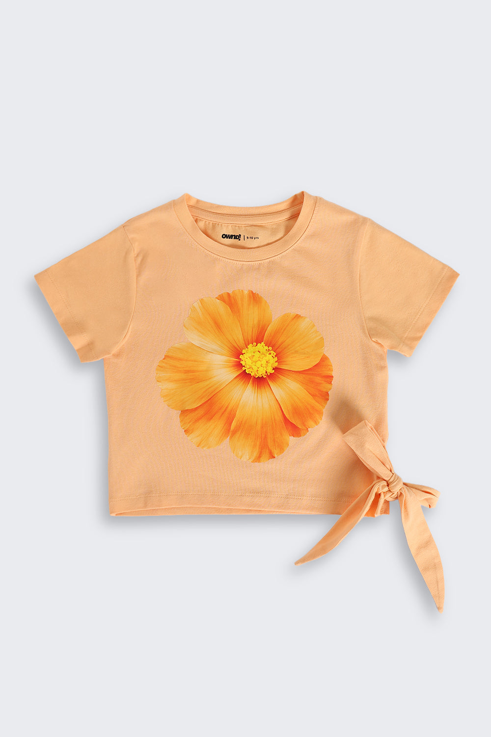 Orange Cotton Blend Regular Fit T-Shirt