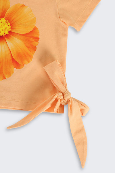 Orange Cotton Blend Regular Fit T-Shirt