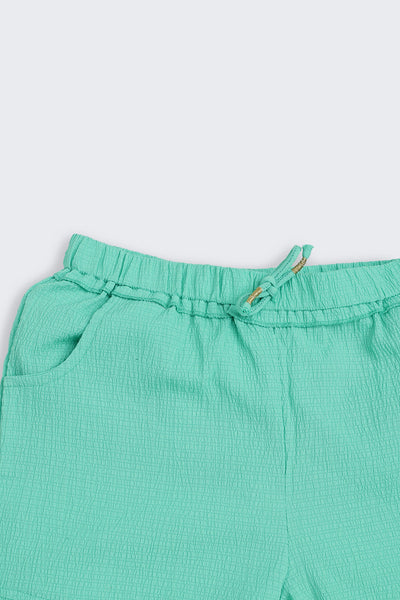 Green Solid Regular Fit Shorts