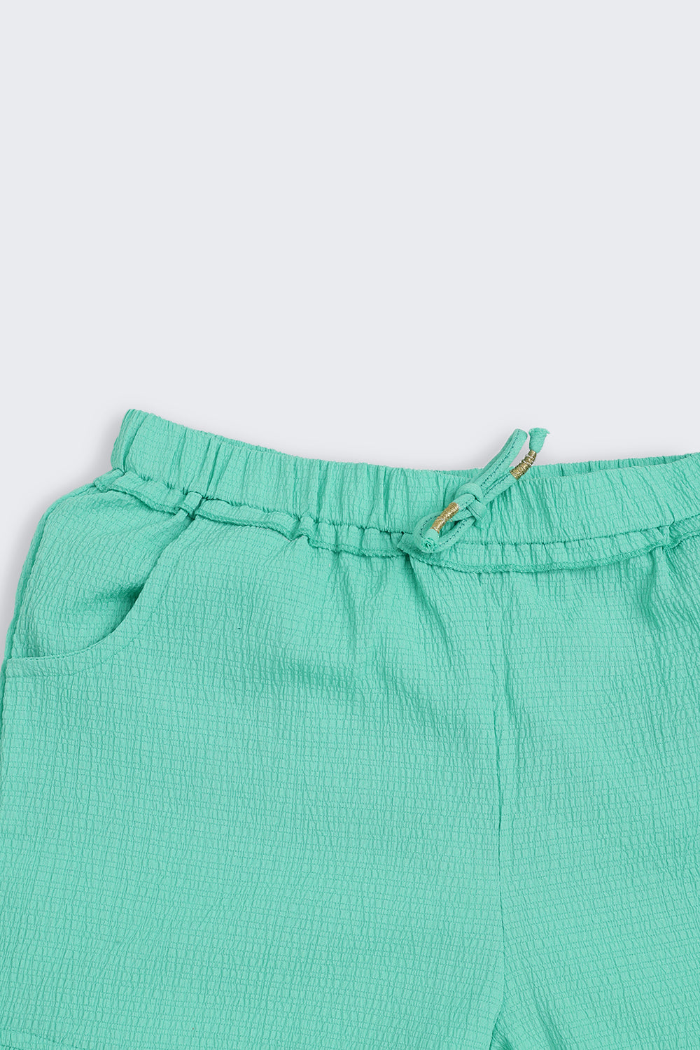 Green Solid Regular Fit Shorts
