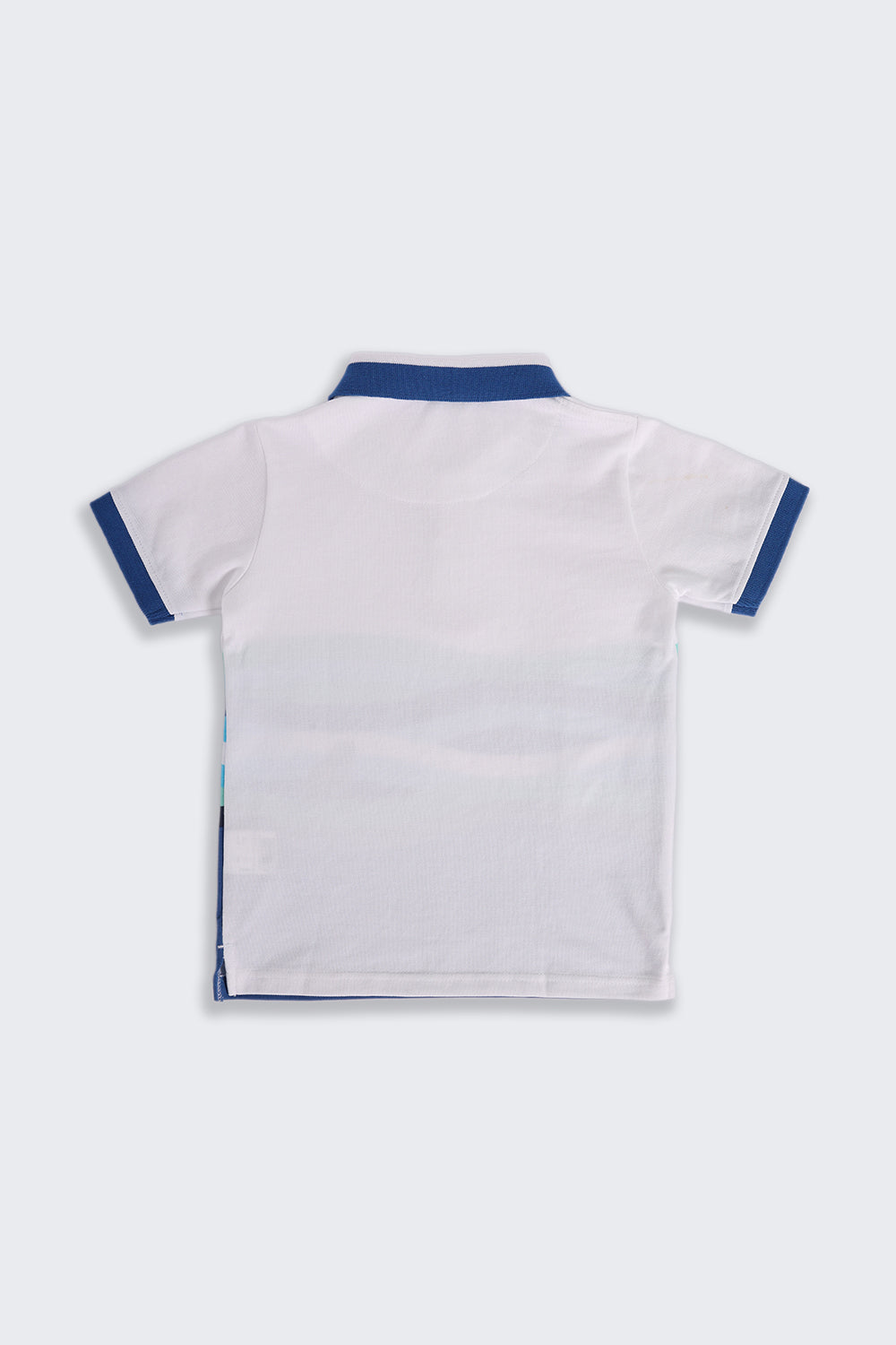 Blue Printed Regular Fit T-Shirt