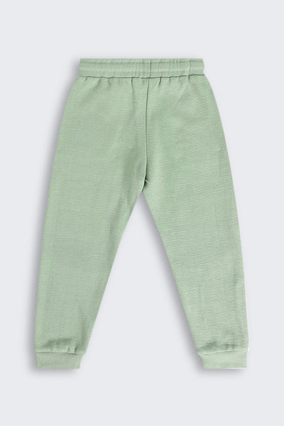 Olive Regular Fit Jogger With 2 Pocket