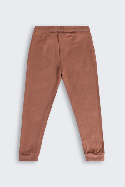 Brown Mid Rise Regular Fit Jogger