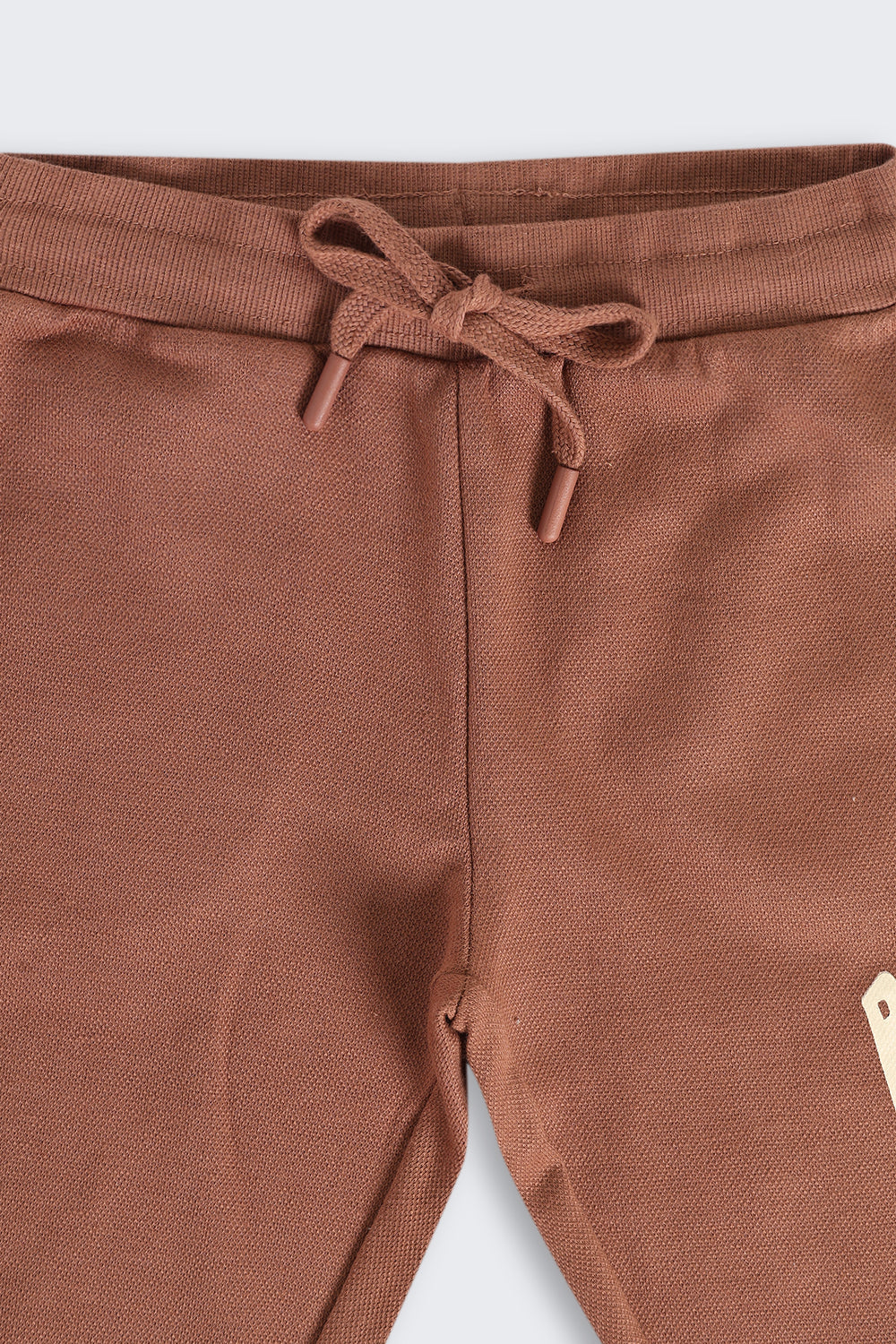 Brown Mid Rise Regular Fit Jogger
